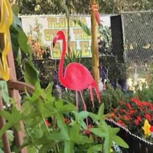Flamingo Imprint or Sticker