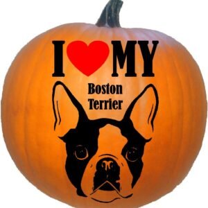 I Love My Boston Terrier
