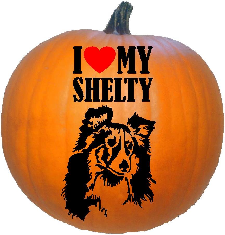 I Love My Shelty