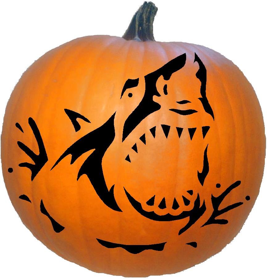 Jaws