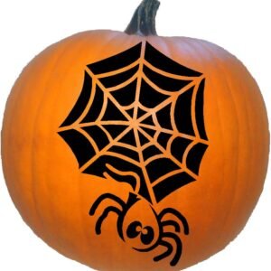 Spider Web