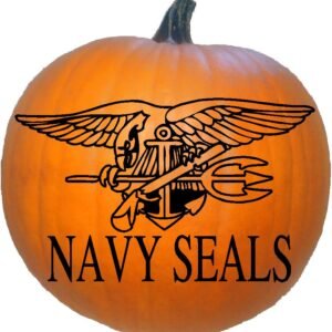 United States Navy Seals
